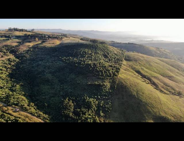 LAND FOR SALE IN MOUNT VERDE
